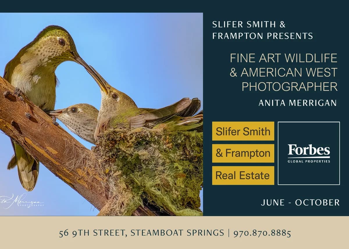 First Friday Artwalk - New Exhibit Featuring Anita Merrigan