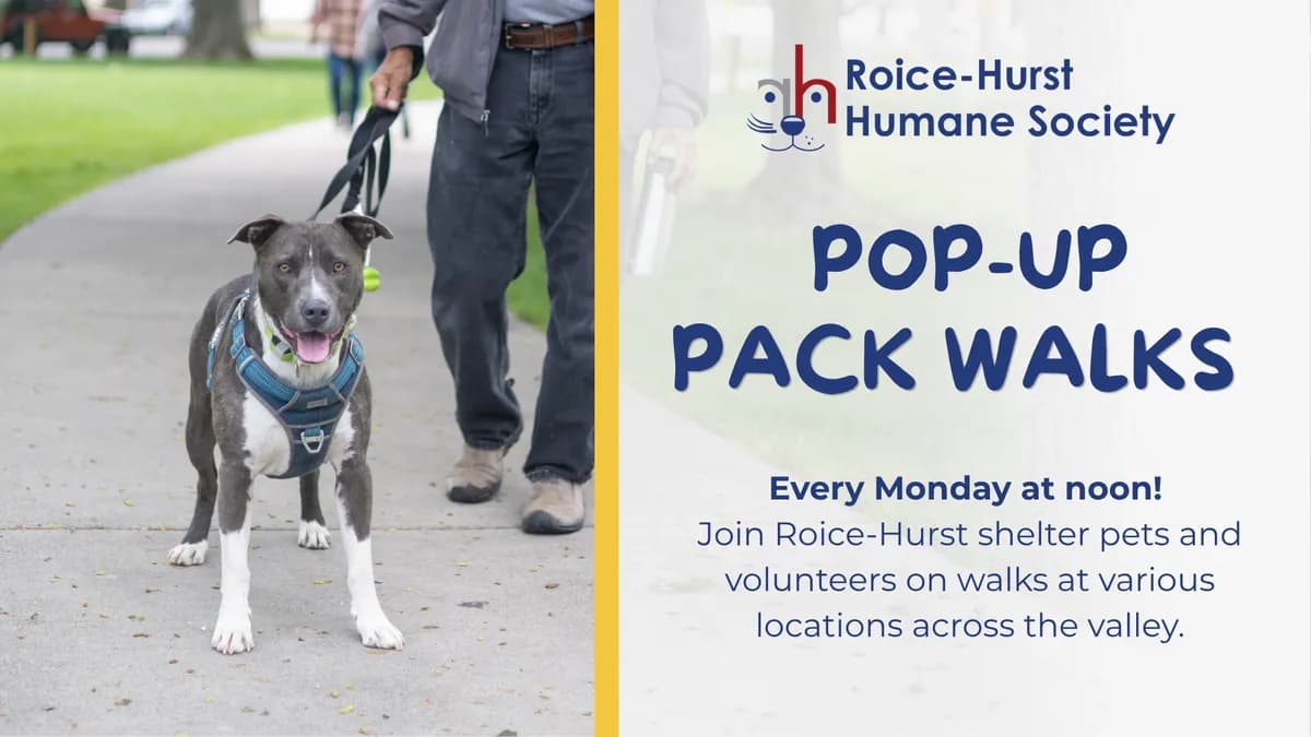 Pop-Up Pack Walk with Roice-Hurst Humane Society