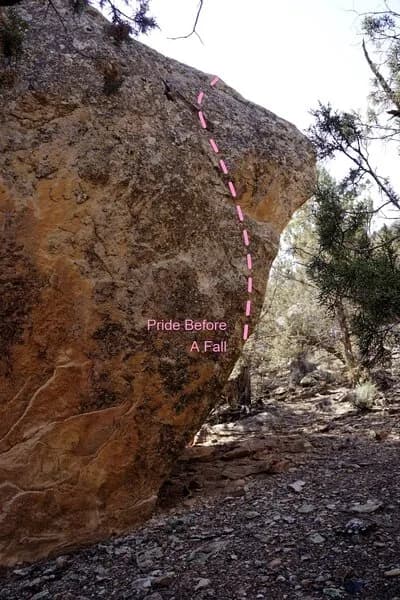 Pride Before A Fall