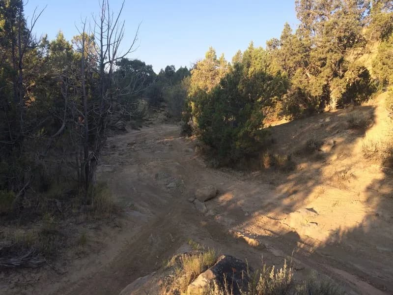 Paul's Trail
