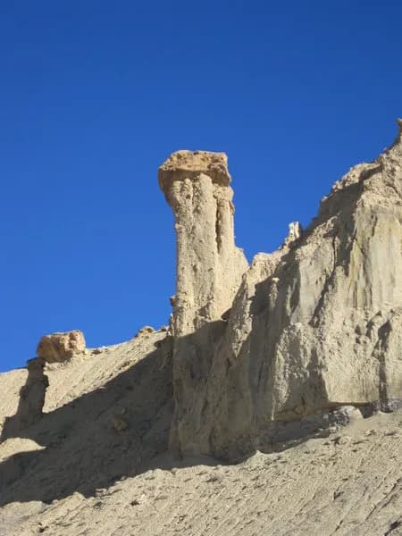 Turkey Neck Tower