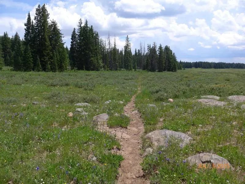 Drop Off Trail #726