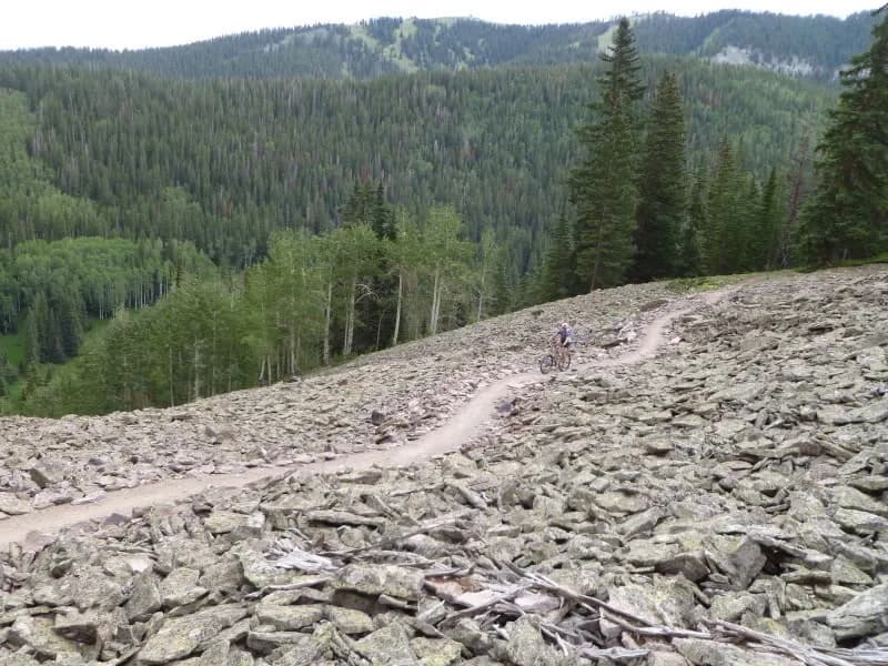 Prospect Loop