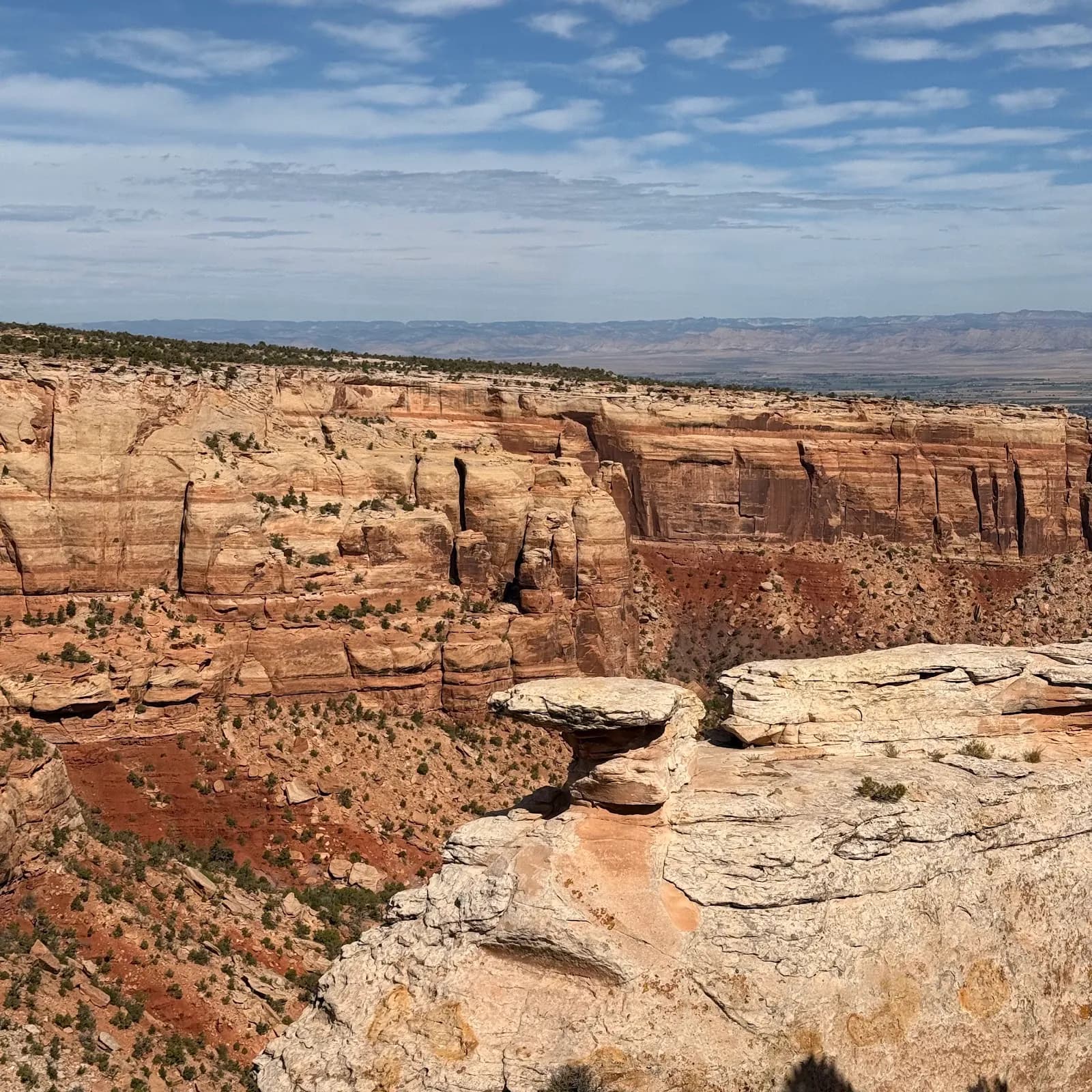 Cold Shivers Point Overlook