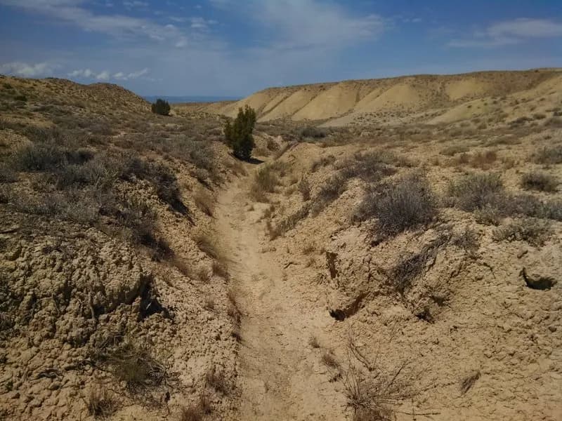 Mystery Ditch view 3