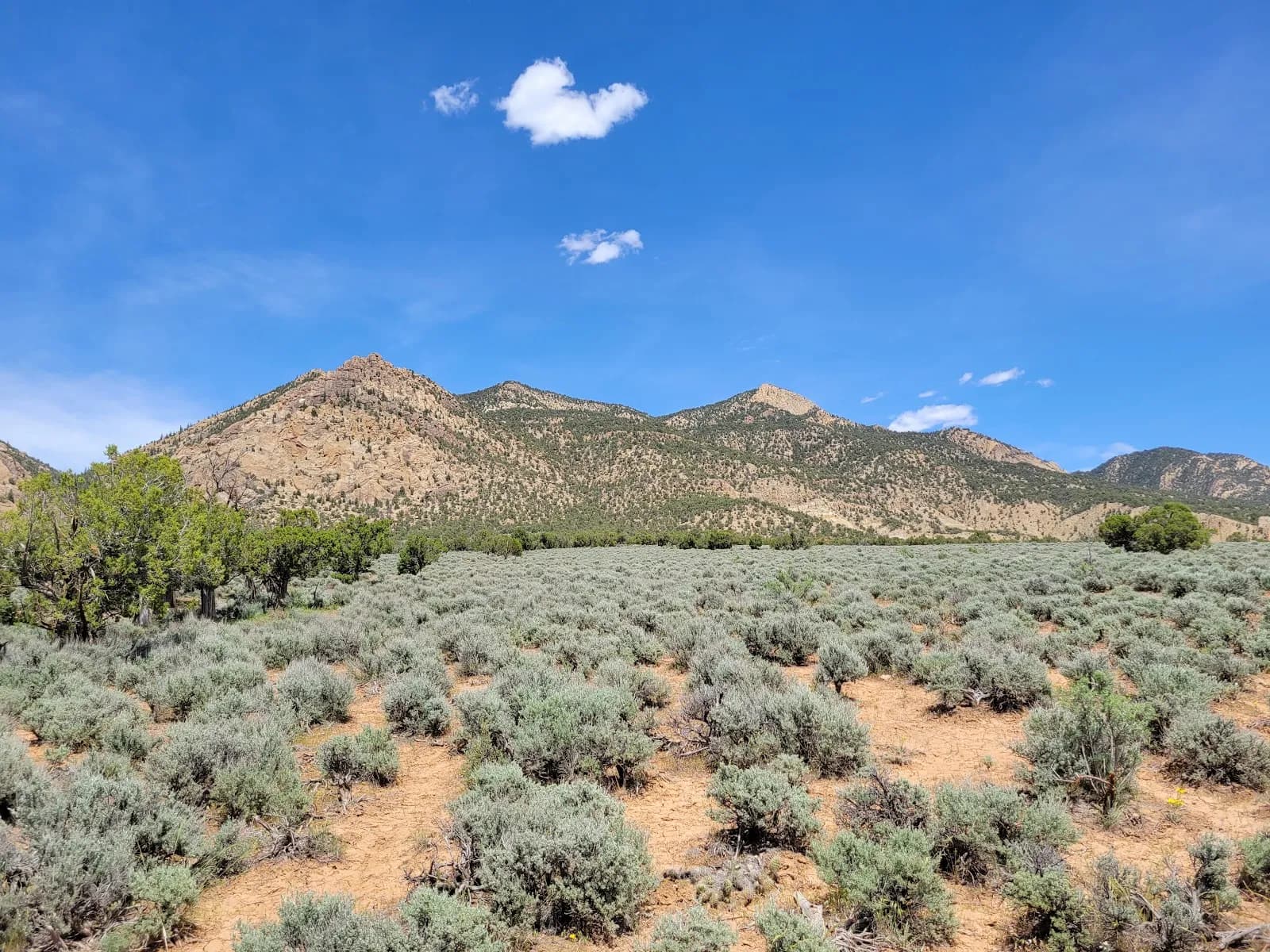 Rifle Arch Trail