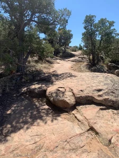 Hartman Southeast Loop