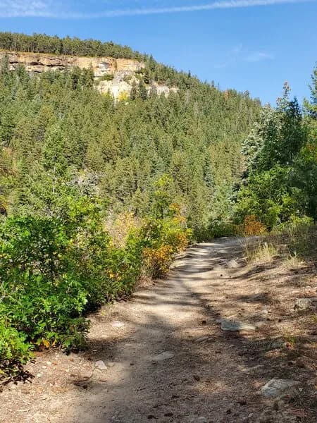 Log Chutes Alternate (DH)
