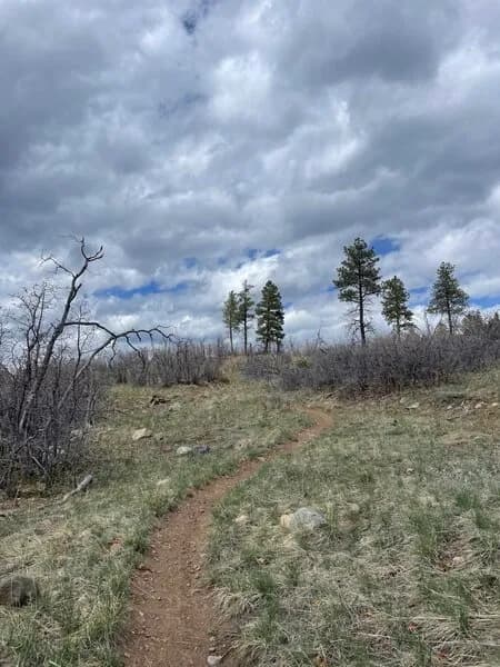 Red Rim to Stevens Creek Loop