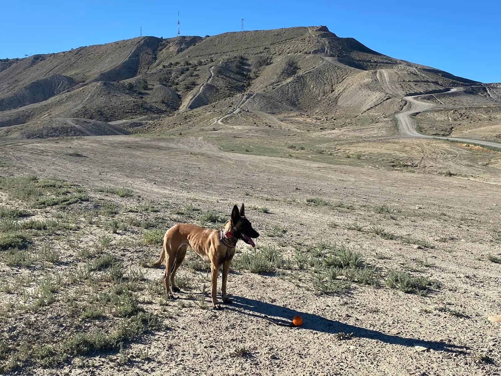 Flat Top-Peach Valley BLM