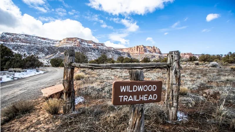Lower Liberty Cap Trail Out and Back view 3