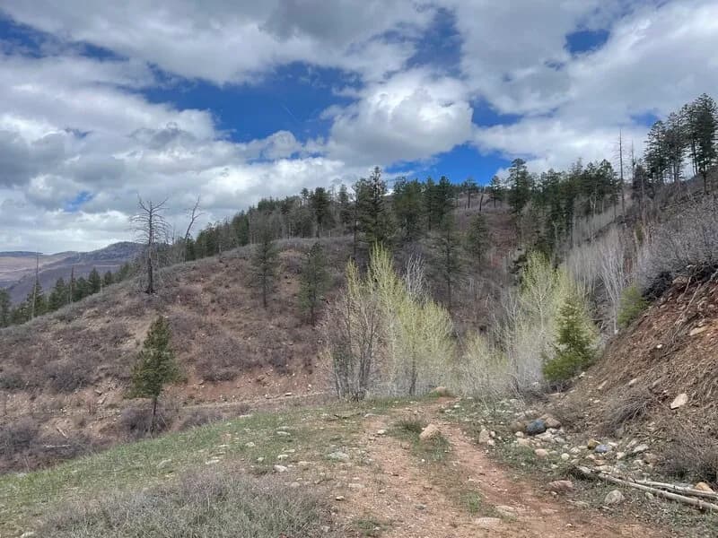 Red Rim to Stevens Creek Loop