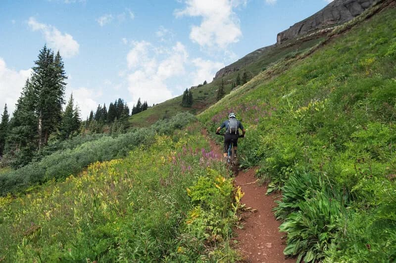Molas Pass to Engineer Mountain Trail Out-and-Back