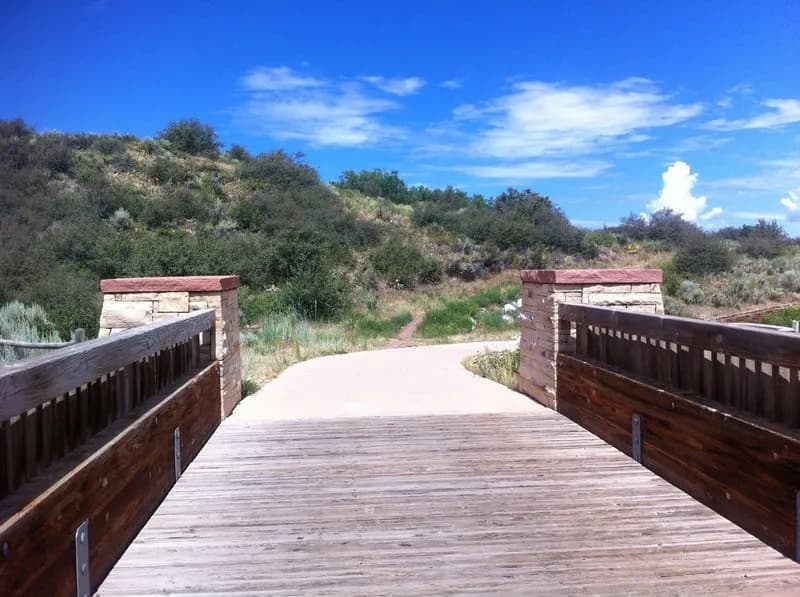 Moore Open Space trail