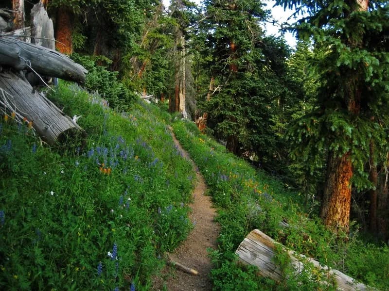 Bridge of Heaven via the "New" Horsethief Trail