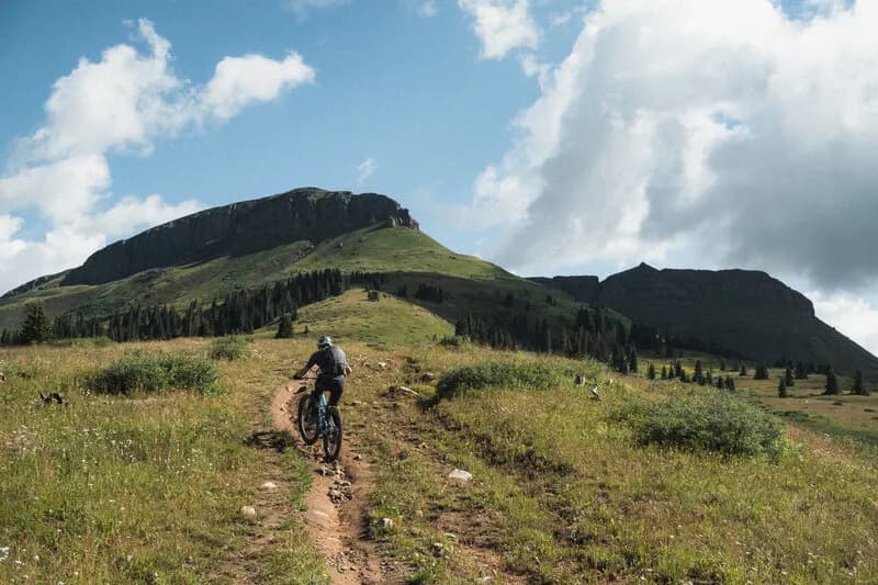 Molas Pass to Engineer Mountain Trail Out-and-Back