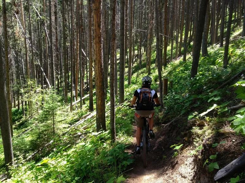 Beaver Creek > Cinch > Corkscrew > Aspen Glade