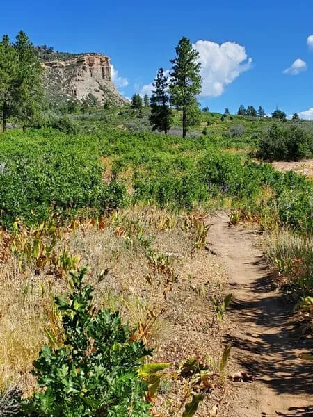 Cliffrock Loop