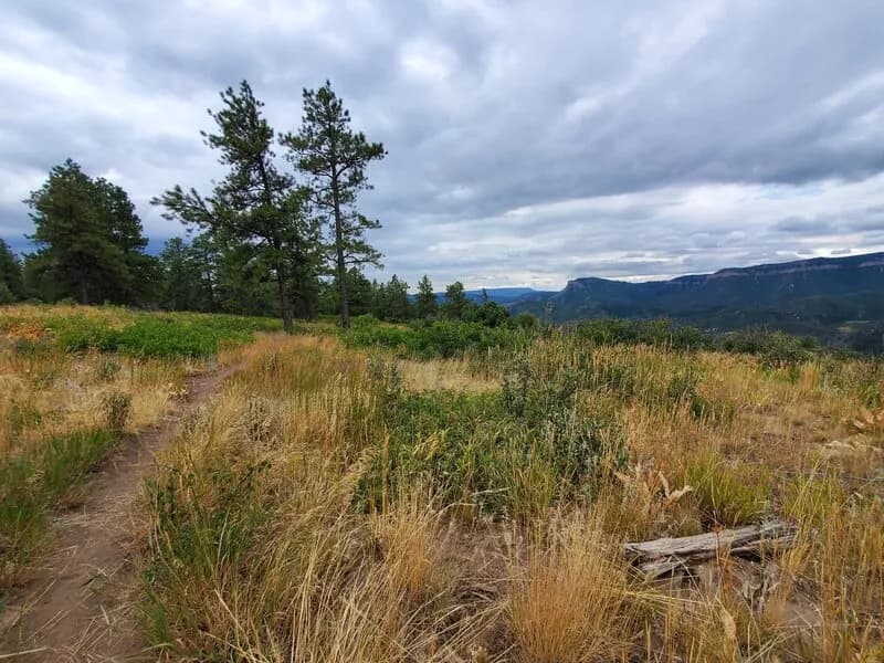 Loam Zone Trail