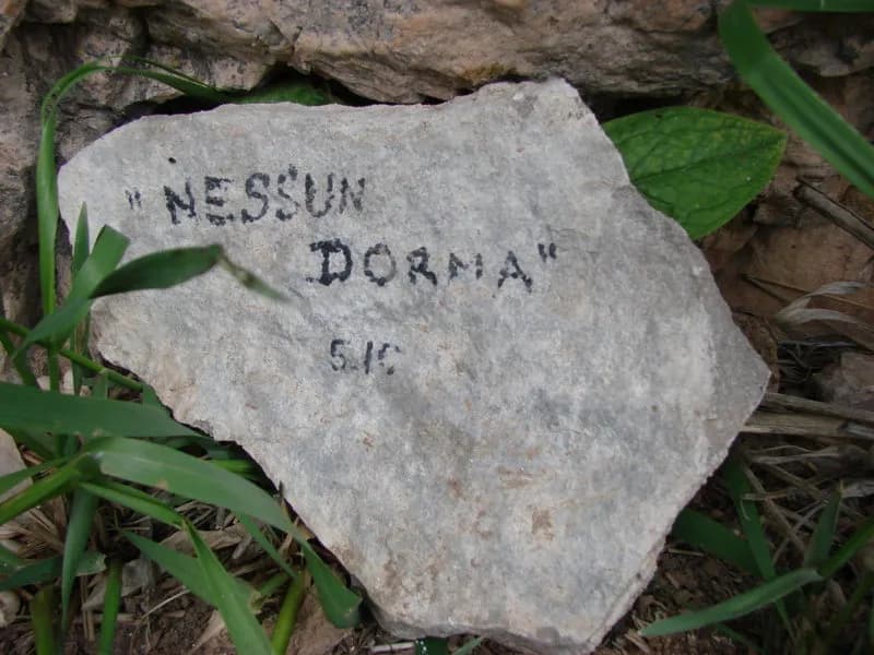 Nessun Dorma