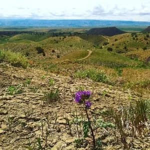 Joe's Ridge