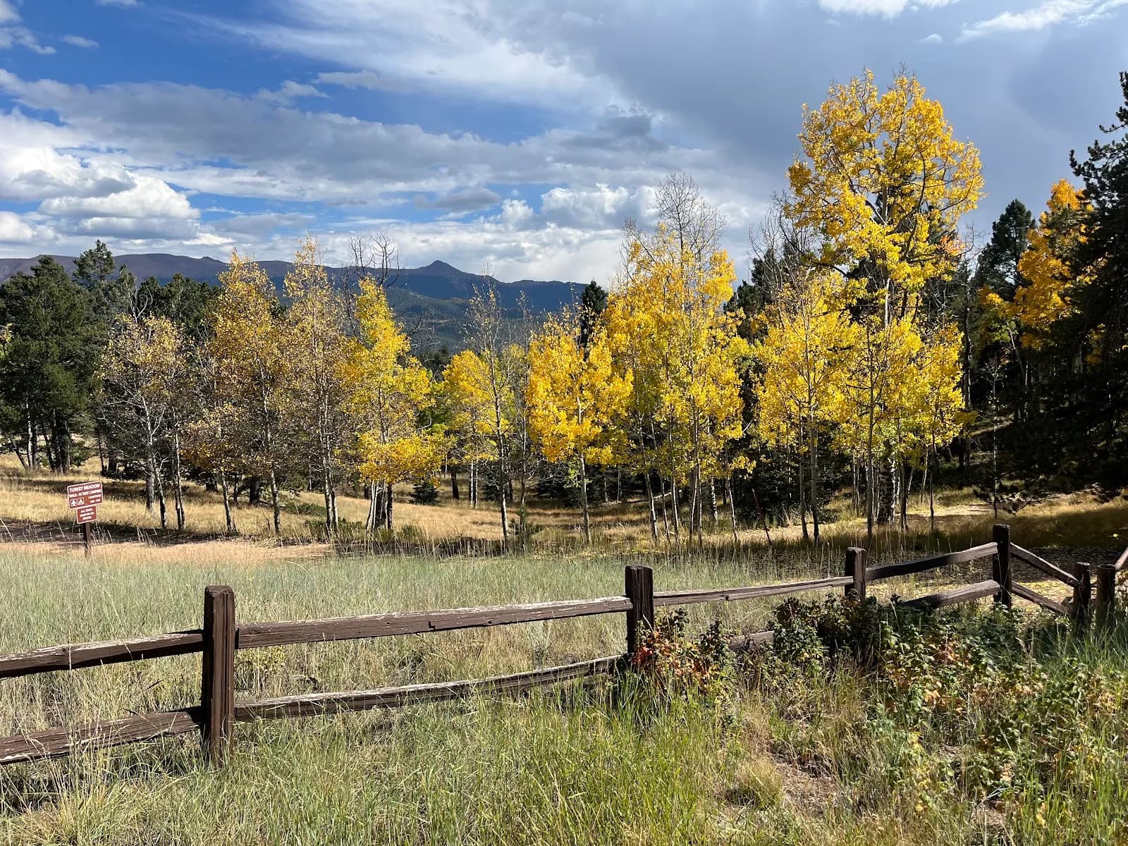 Mueller State Park