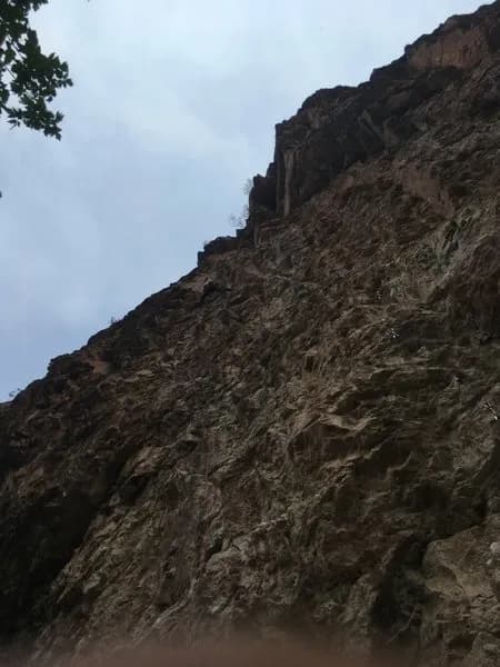 80 Feet of Meat