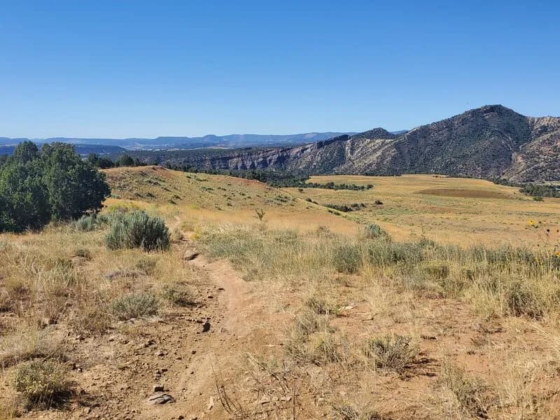 Carbon Junction Trail