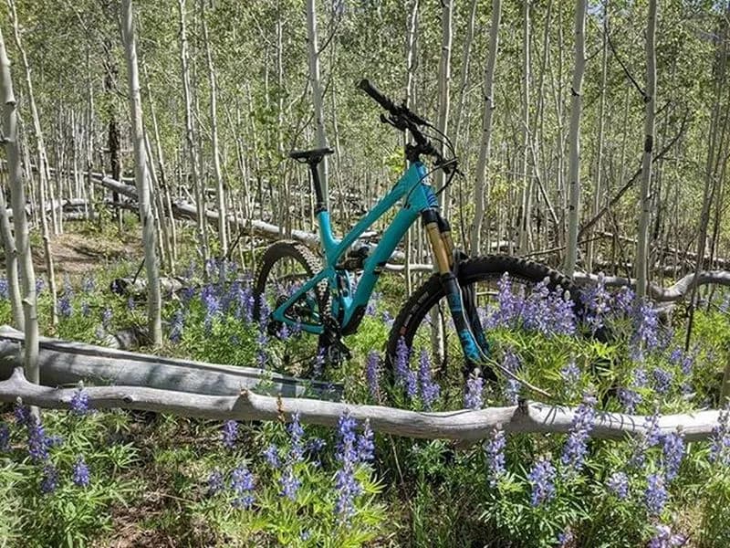 Aspen Tunnel