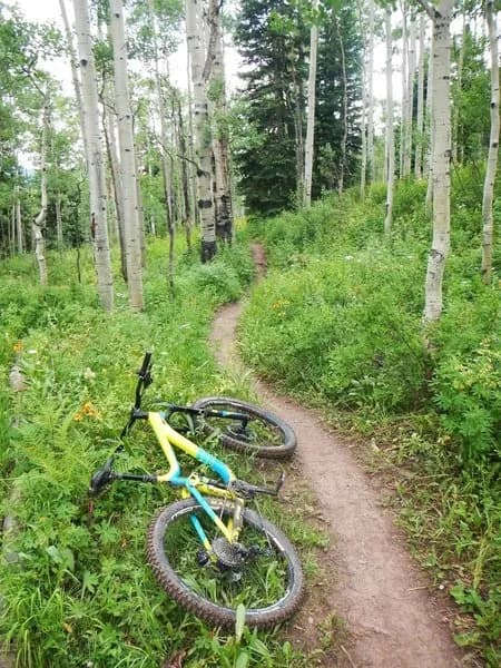Dyke Trail