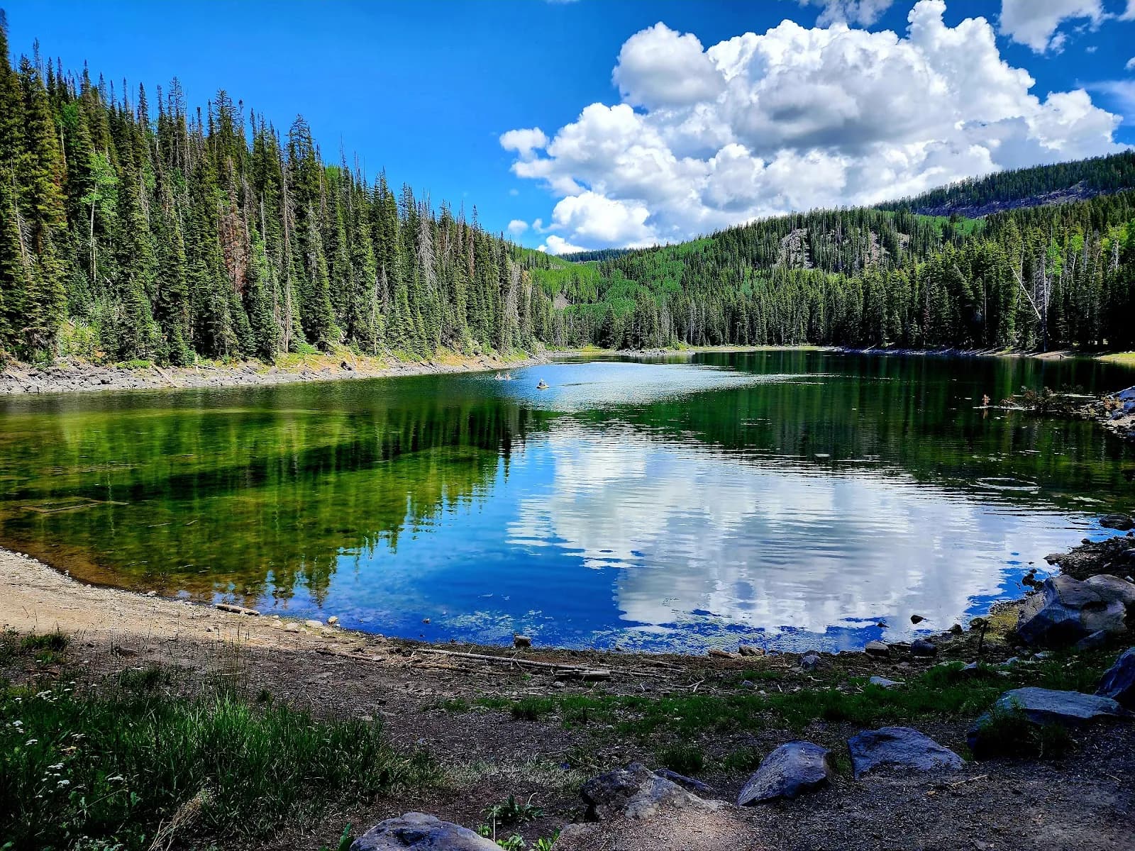 Grand Mesa, Uncompahgre and Gunnison National Forests