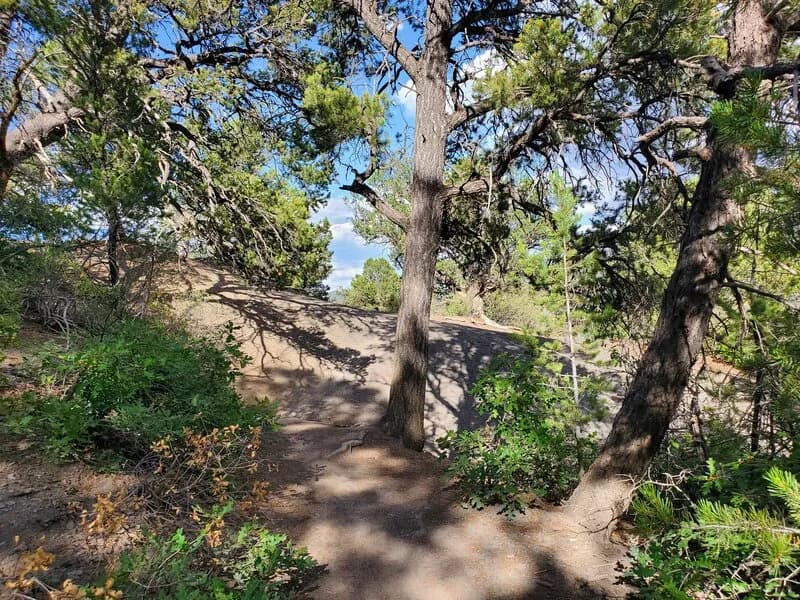 Big Dip On The Engleharts Trail