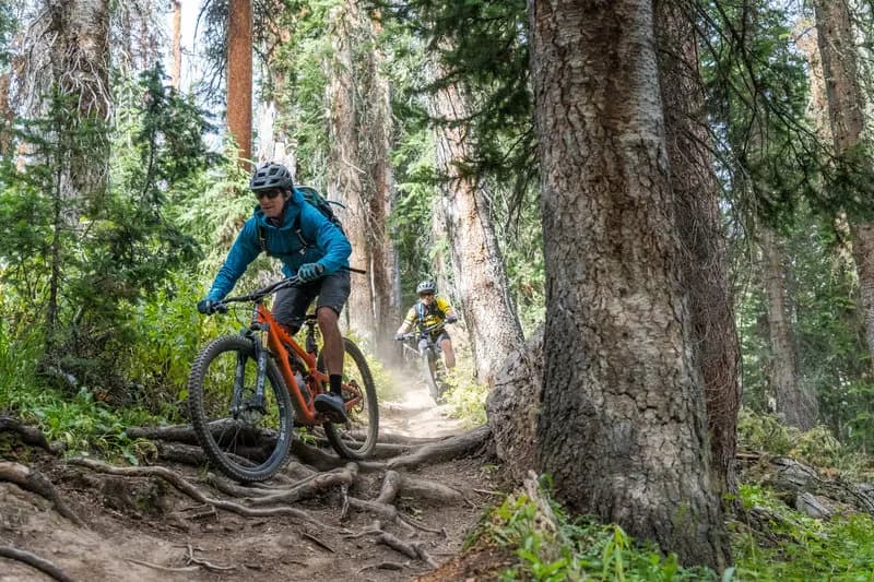 Trail 403