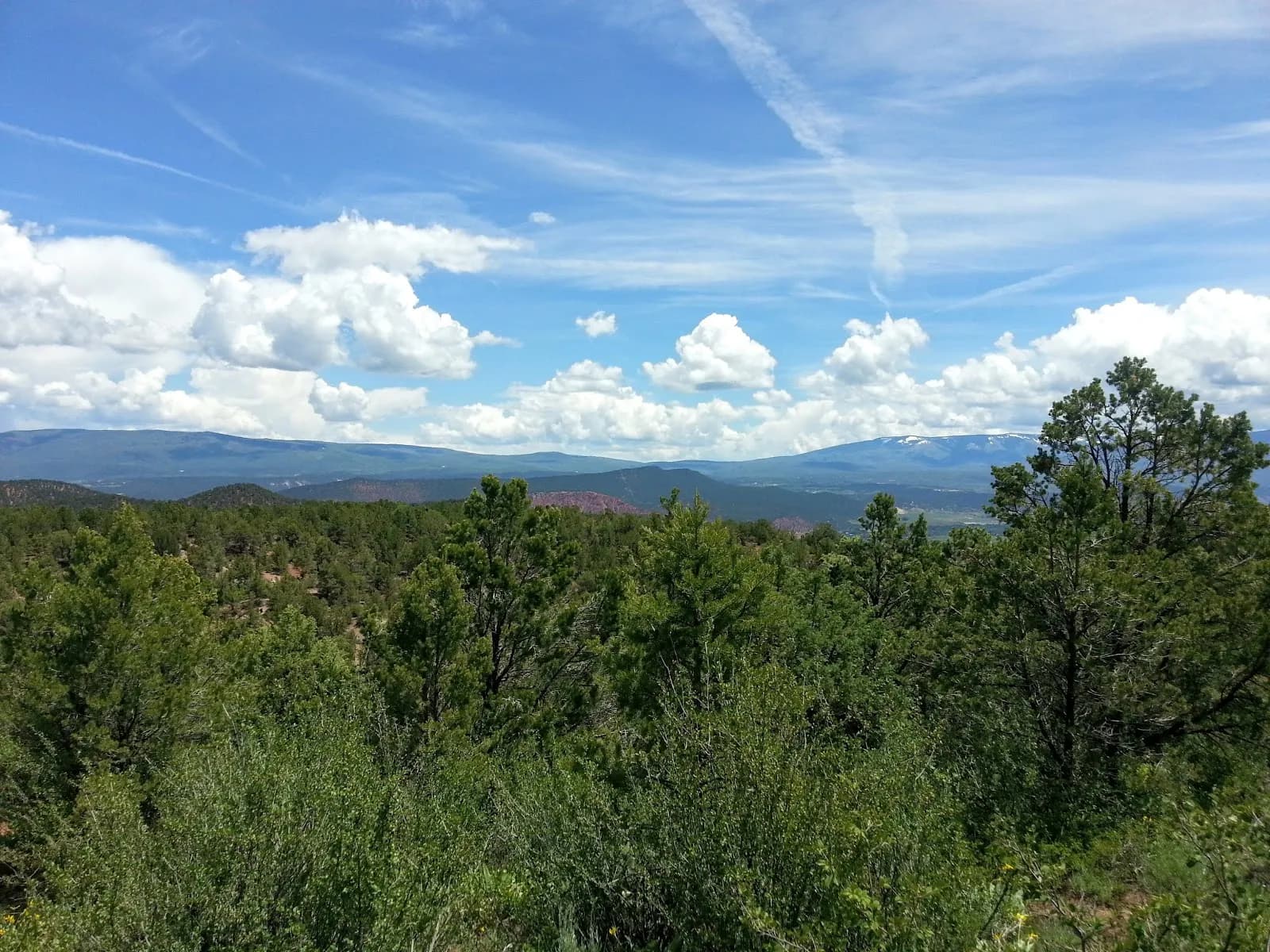 Lorax Trail