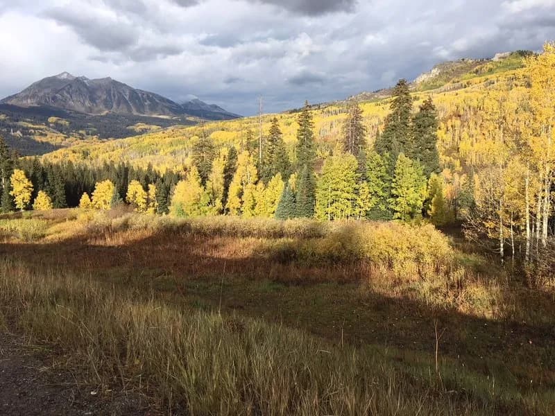 Dyke Trail #838