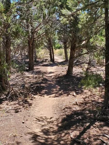Somewhat Shady Section Of South Rim Extension