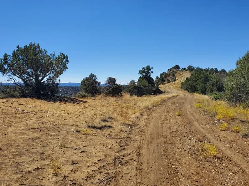 Looking South Along The Grandview Ridge Road
