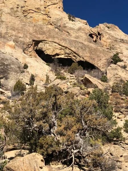 Rifle Arch view 3