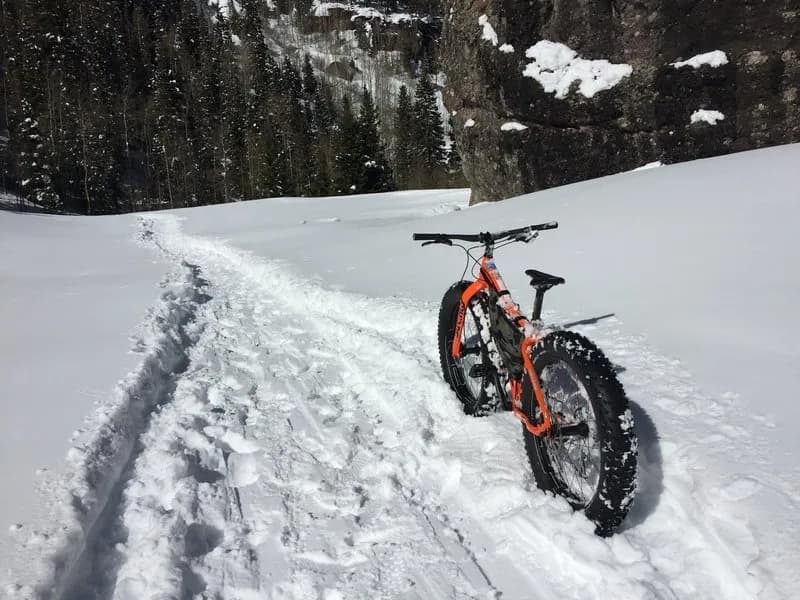 Bear Creek Falls Trail