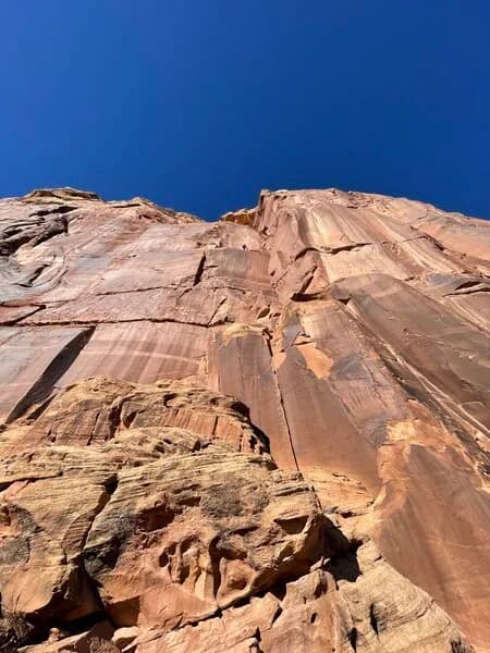 Lizards & Scorpions w/ Sky on Tuesday