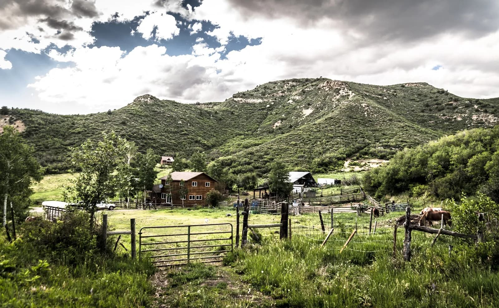 LYJ Ranch