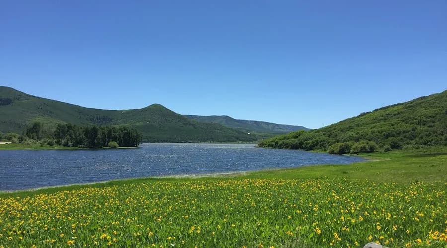 Vega Reservoir