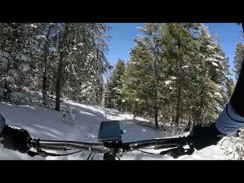 Sunny Aspen
