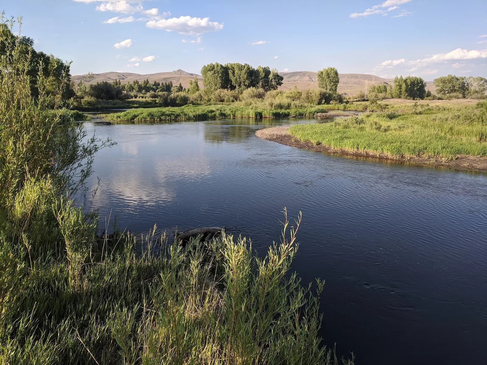 Tomichi Creek State Wildlife Area