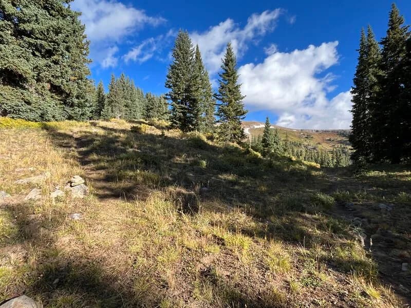South Baldy Summit Off-Trail Route