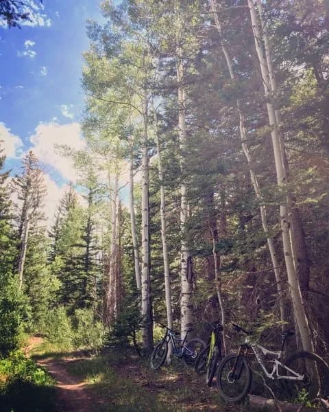Turkey Flats Loop