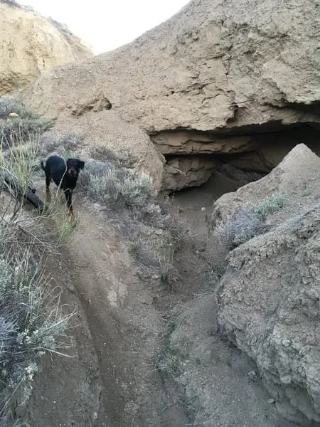 Z-Ditch