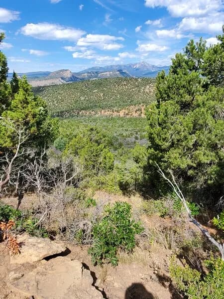La Plata Mountains In The Far Distance