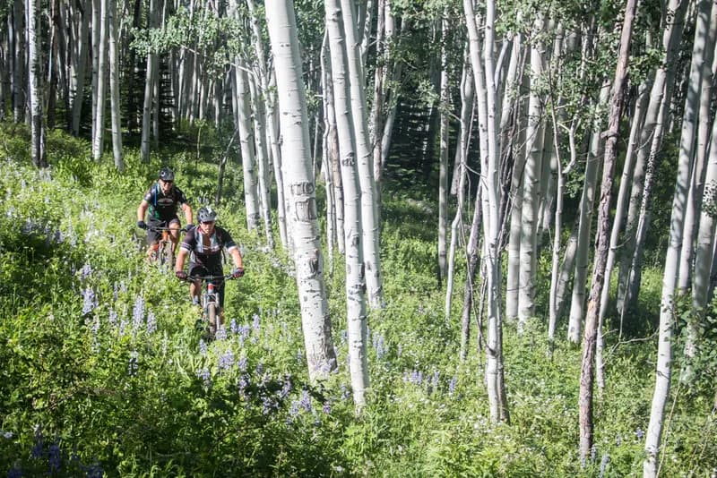 Buttermilk Bowls Loop