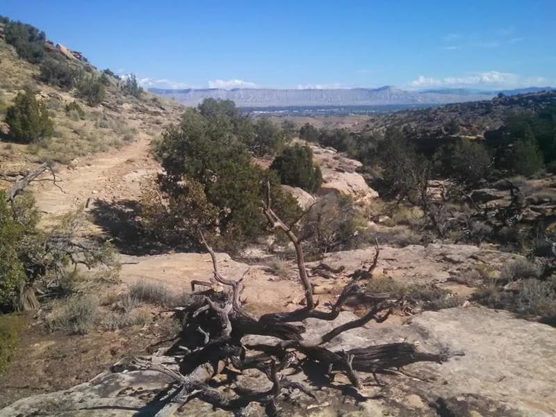 Butterknife Trail